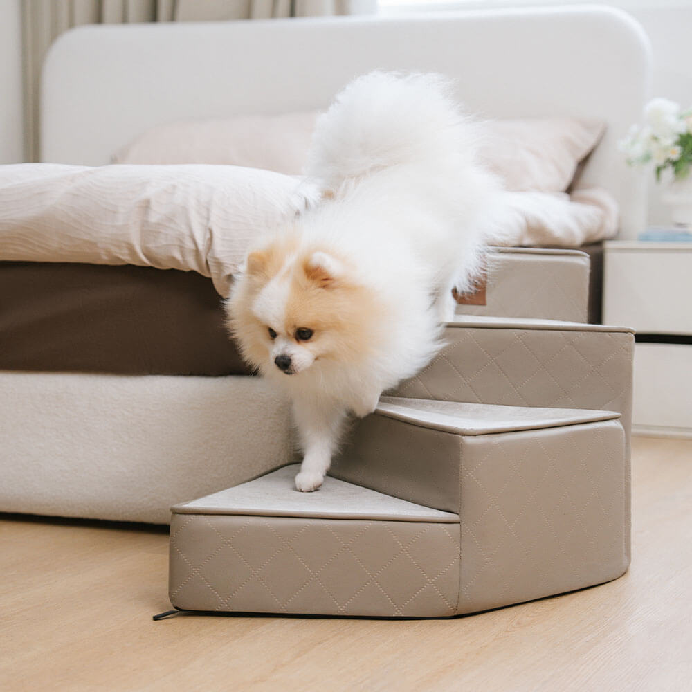 Escaliers pour animaux en similicuir imperméable et amovibles - StepEase