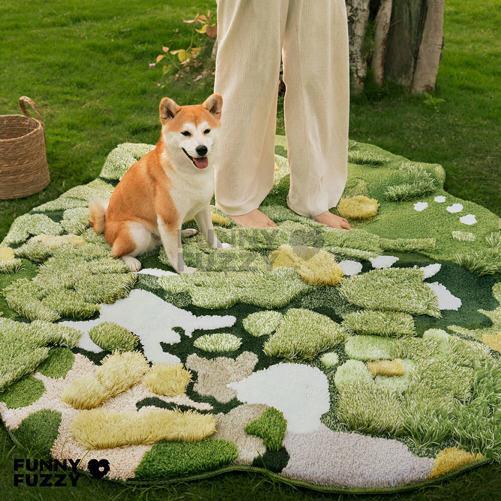 Tapis de luxe en laine tufier à la main - Tapis pour animaux