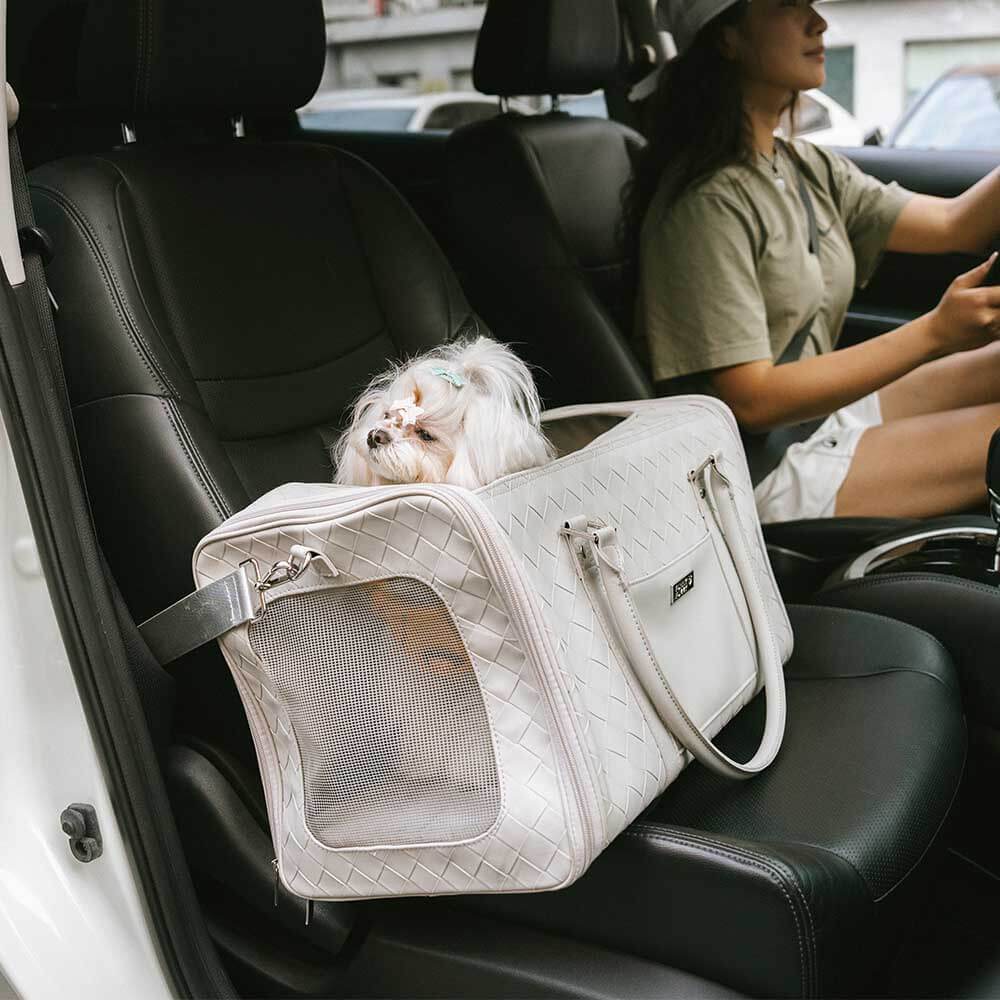 Transporteur pour animaux en cuir tressé respirant multifonction luxe compagnon urbain