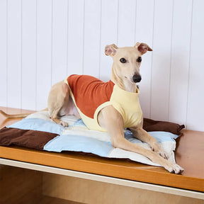 Tapis pour chien multi-usages résistant à l'eau de couleur macaron