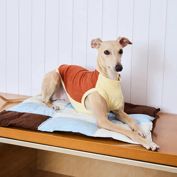 Tapis pour chien multi-usages résistant à l'eau de couleur macaron