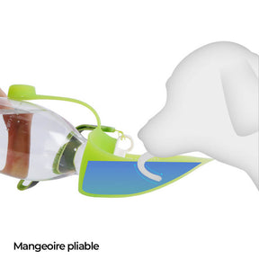 Distributeur d'eau de voyage portable en forme de feuille pour chien