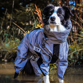 Manteau imperméable réfléchissant Manteau de pluie pour chien