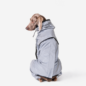 Manteau imperméable réfléchissant Manteau de pluie pour chien