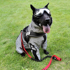 Manteau imperméable réfléchissant Manteau de pluie pour chien