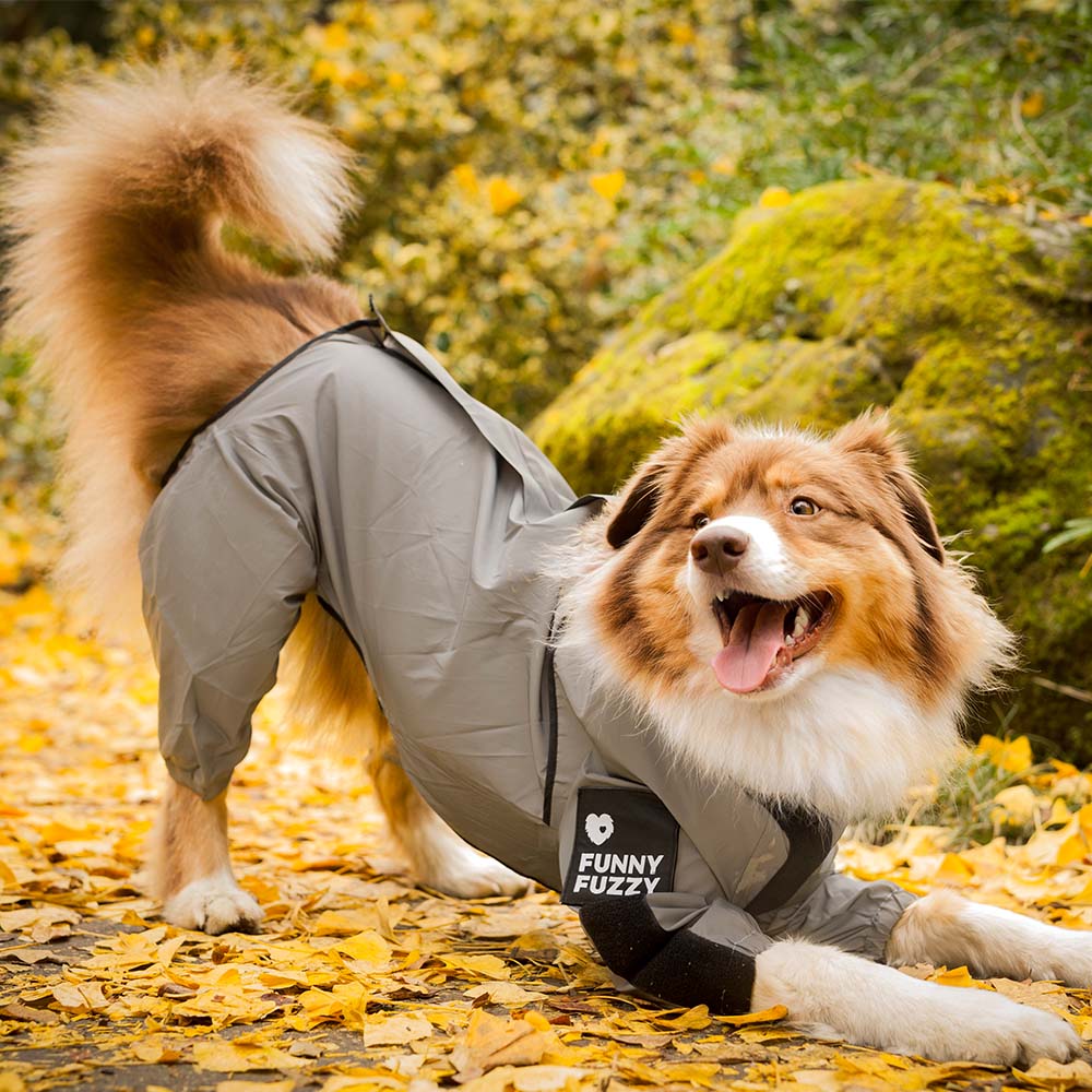 Manteau imperméable réfléchissant Manteau de pluie pour chien