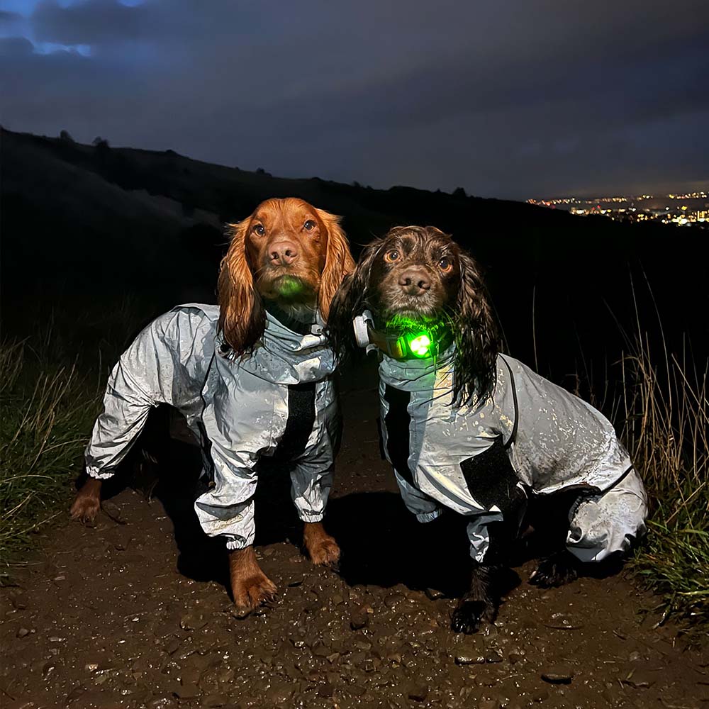 Manteau imperméable réfléchissant Manteau de pluie pour chien