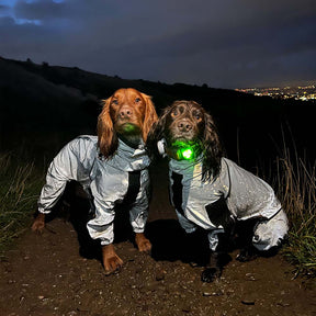 Manteau imperméable réfléchissant Manteau de pluie pour chien