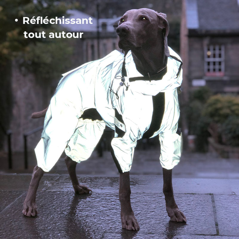 Manteau imperméable réfléchissant Manteau de pluie pour chien