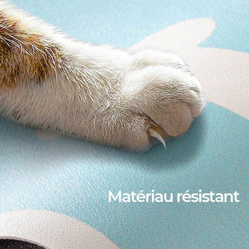 Tapis d'Alimentation pour Animaux Absorbant et Antidérapant à Séchage Rapide