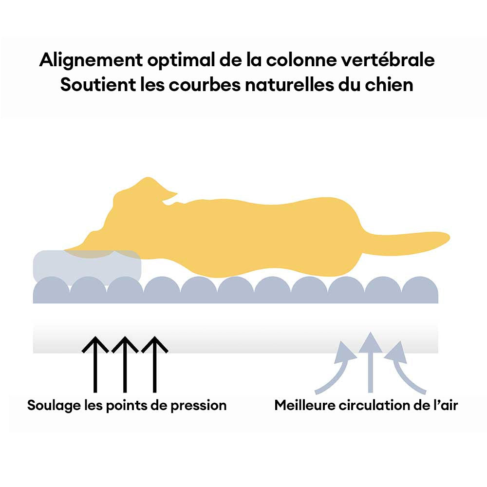Canapé-lit orthopédique pour chien avec appui-tête souple et confortable modèle - Panier Nuage