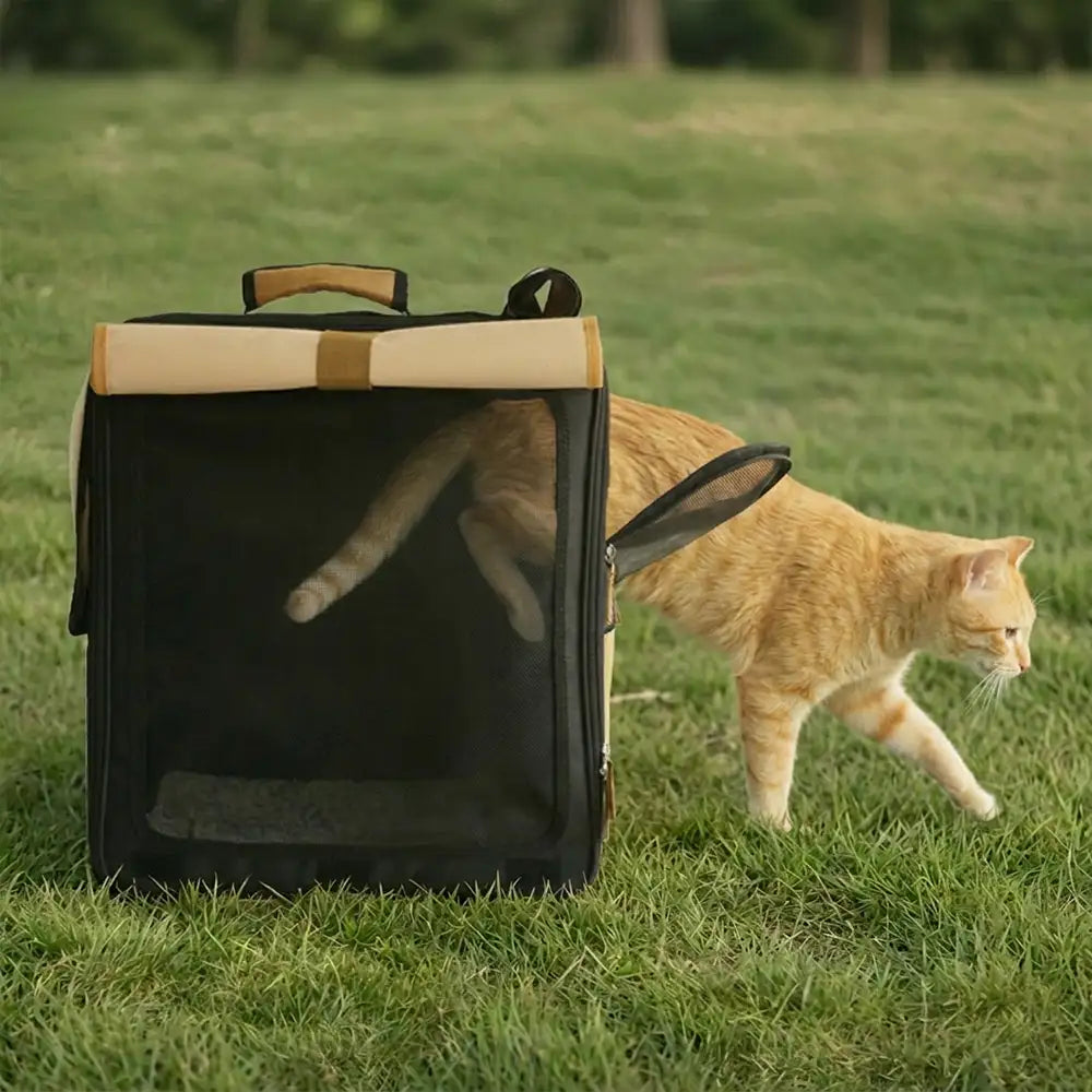 Transporteur pour animaux de compagnie à roulettes, respirant et multi-usages, sac à dos pour chat.