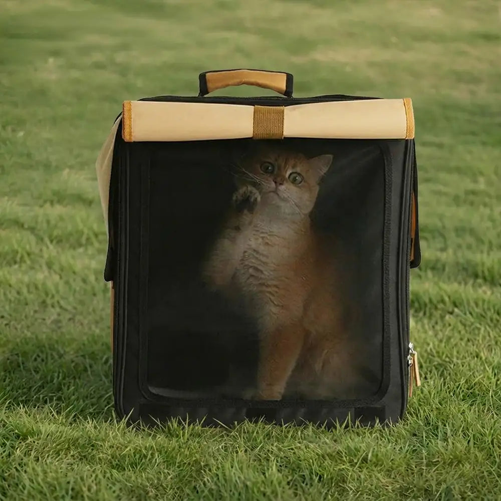 Transporteur pour animaux de compagnie à roulettes, respirant et multi-usages, sac à dos pour chat.