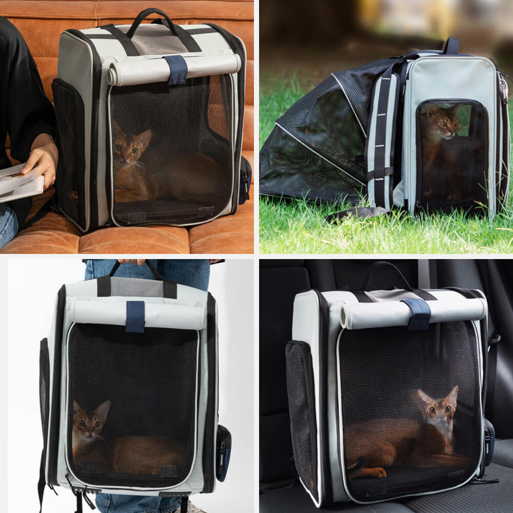 Sac à Dos Extensible Multifonction Grand Espace pour Chat et Chien