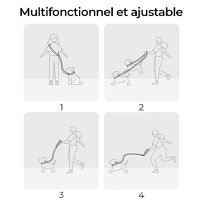 Harnais de marche pour chien multifonction mains libres anti-traction