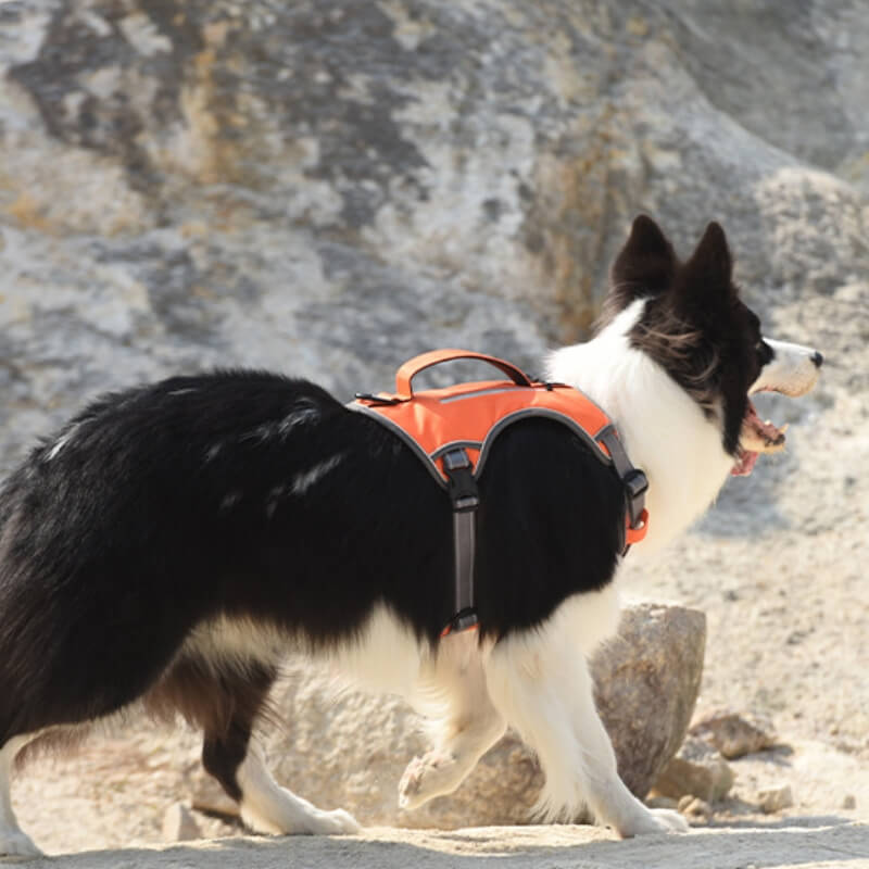 Harnais multifonction pour chien de taille moyenne à grande anti-explosion et anti-traction