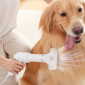 Sèche-cheveux portable pour animaux réglable multifonction pour peignage et séchage des poils