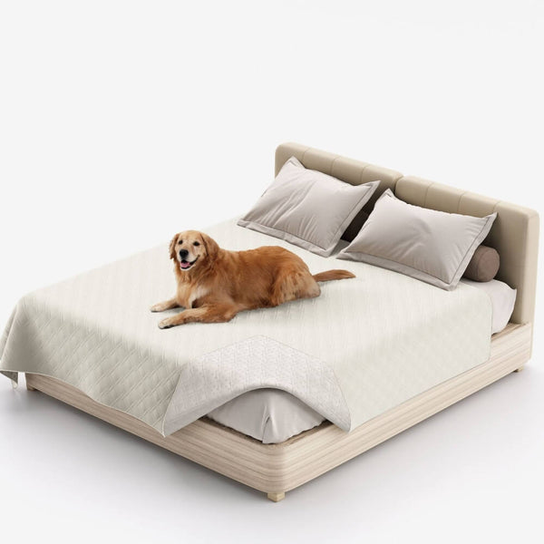 Couverture multifonction pour animaux déperlante protège-matelas et drap plat