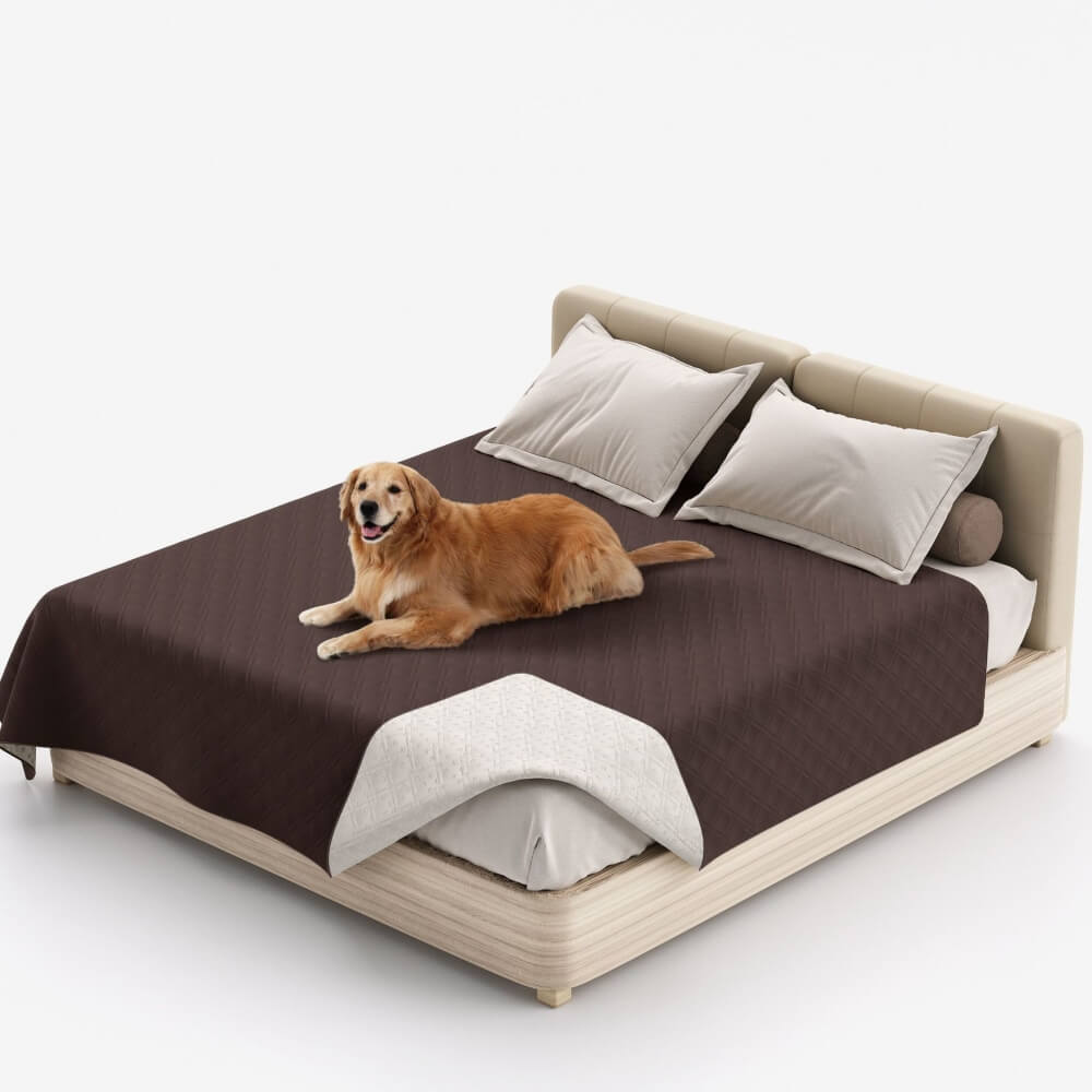 Protège-meuble multifonction imperméable pour animaux couverture lit Housse de matelas