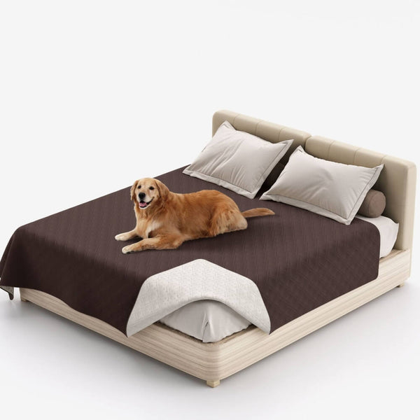 Couverture multifonction pour animaux déperlante protège-matelas et drap plat