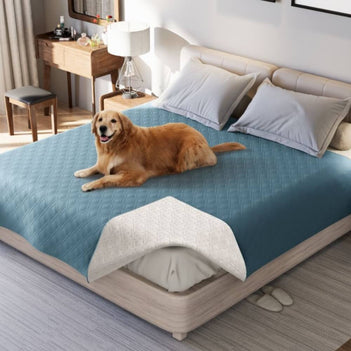 Couverture multifonction pour animaux déperlante protège-matelas et drap plat