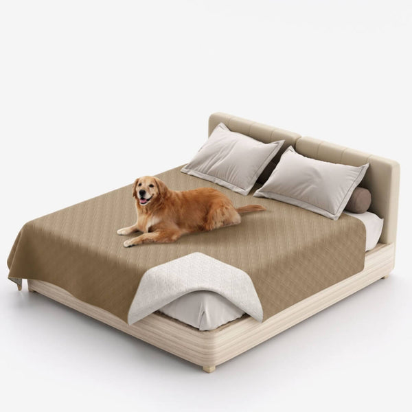 Couverture multifonction pour animaux déperlante protège-matelas et drap plat