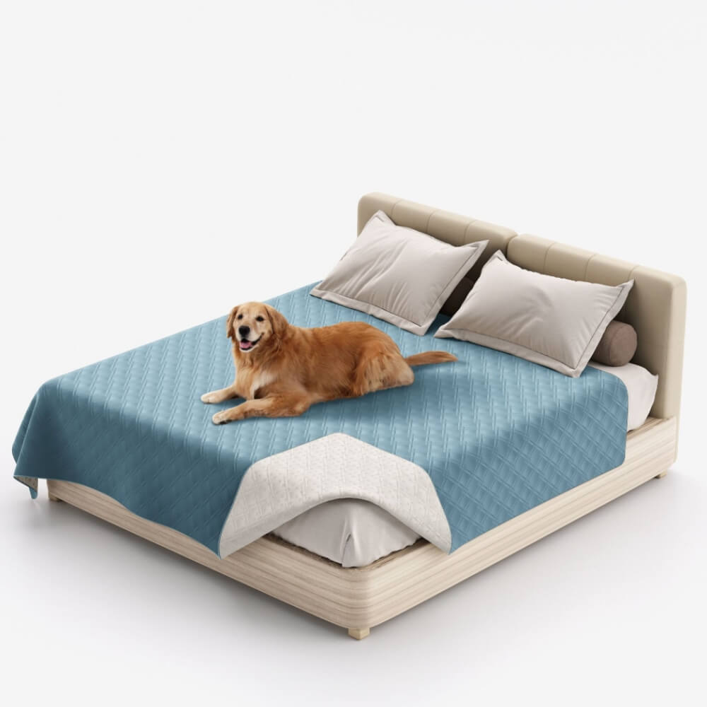 Protège-meuble multifonction imperméable pour animaux couverture lit Housse de matelas