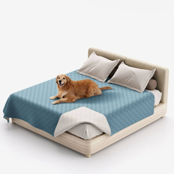 Couverture multifonction pour animaux déperlante protège-matelas et drap plat