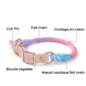 Collier Et Laisse En Cuir Tressé Mode Sans Traction