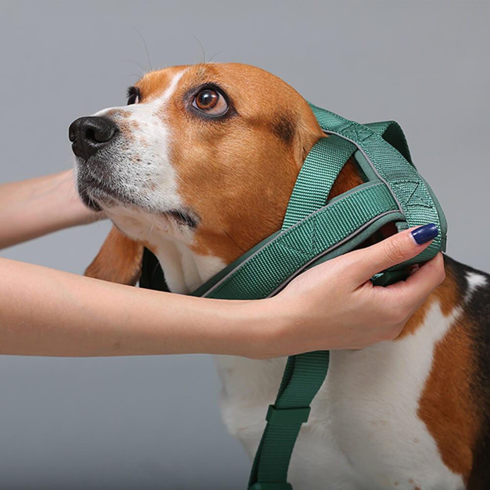 Harnais pour chien en nylon réglable réfléchissant sans tirage avec collier et laisse