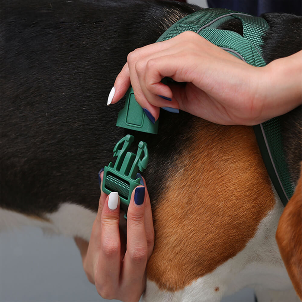 Harnais pour chien en nylon réglable réfléchissant sans tirage avec collier et laisse