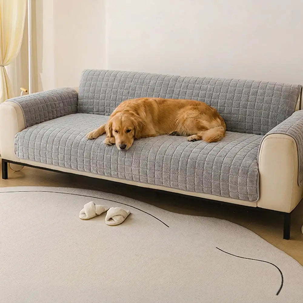 Housse de canapé courte en peluche douce pour animaux de compagnie, protection anti-dérapante.