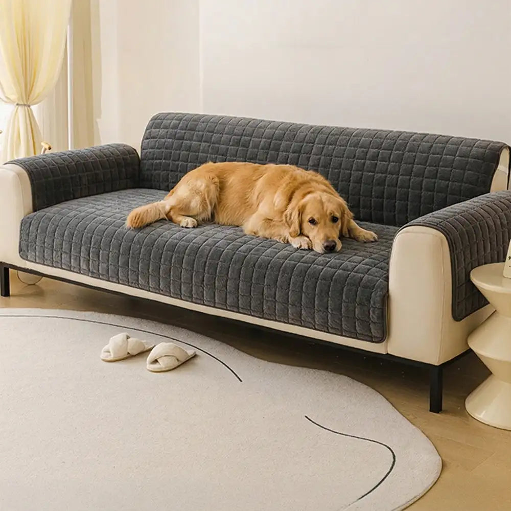 Housse de canapé courte en peluche douce pour animaux de compagnie, protection anti-dérapante.