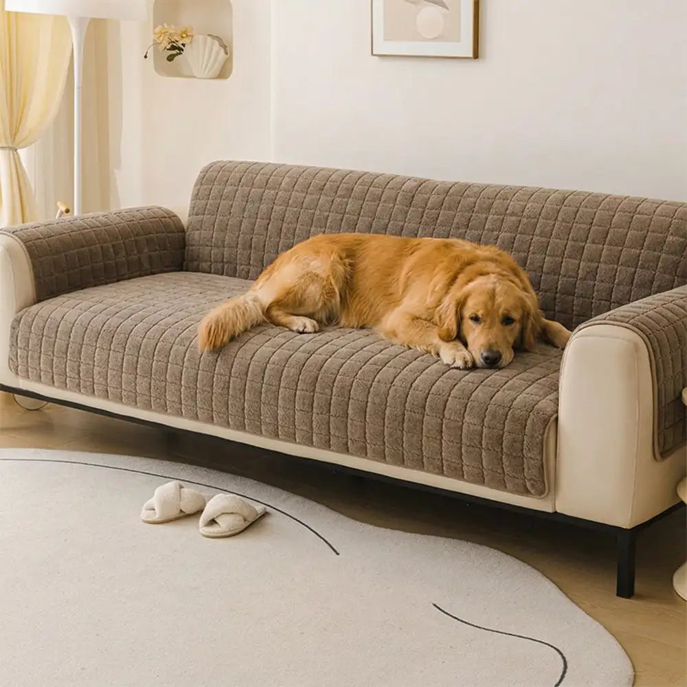 Housse de canapé courte en peluche douce pour animaux de compagnie, protection anti-dérapante.