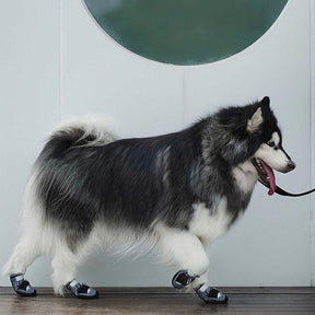 Bottes Antidérapantes pour Chien Randonnée Course