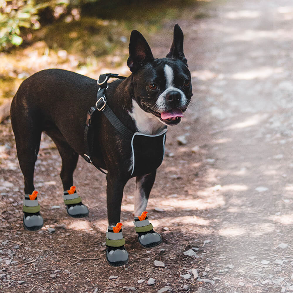 Chaussures pour chien antidérapantes de randonnée et course respirantes