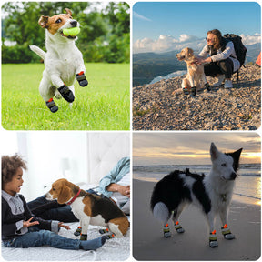 Chaussures pour chien antidérapantes de randonnée et course respirantes