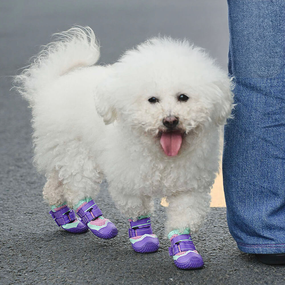 Chaussures pour chien antidérapantes de randonnée et course respirantes