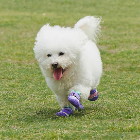 Chaussures pour chien antidérapantes de randonnée et course respirantes