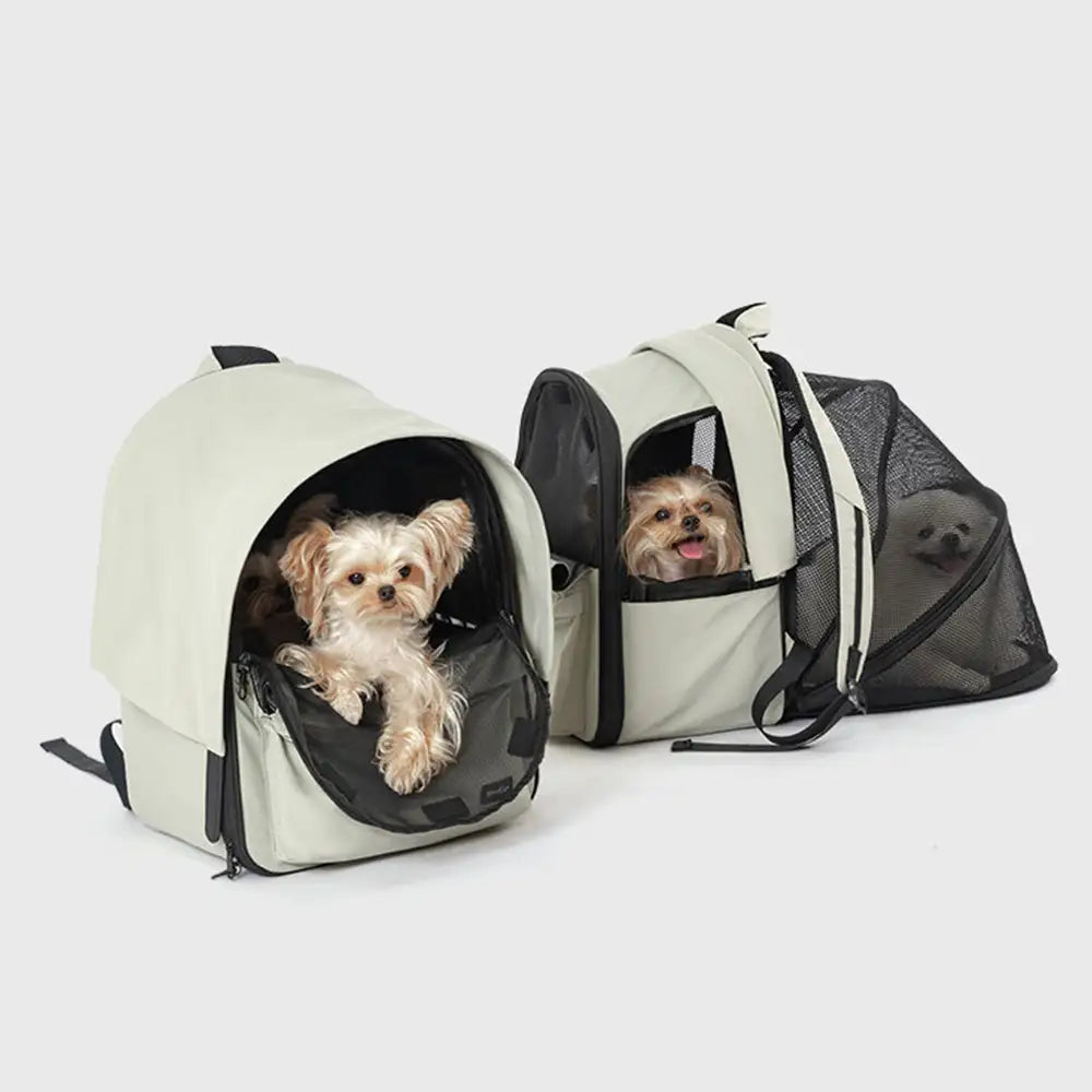 Sac à dos pour chat extensible et respirant pour les voyages en plein air avec auvent.