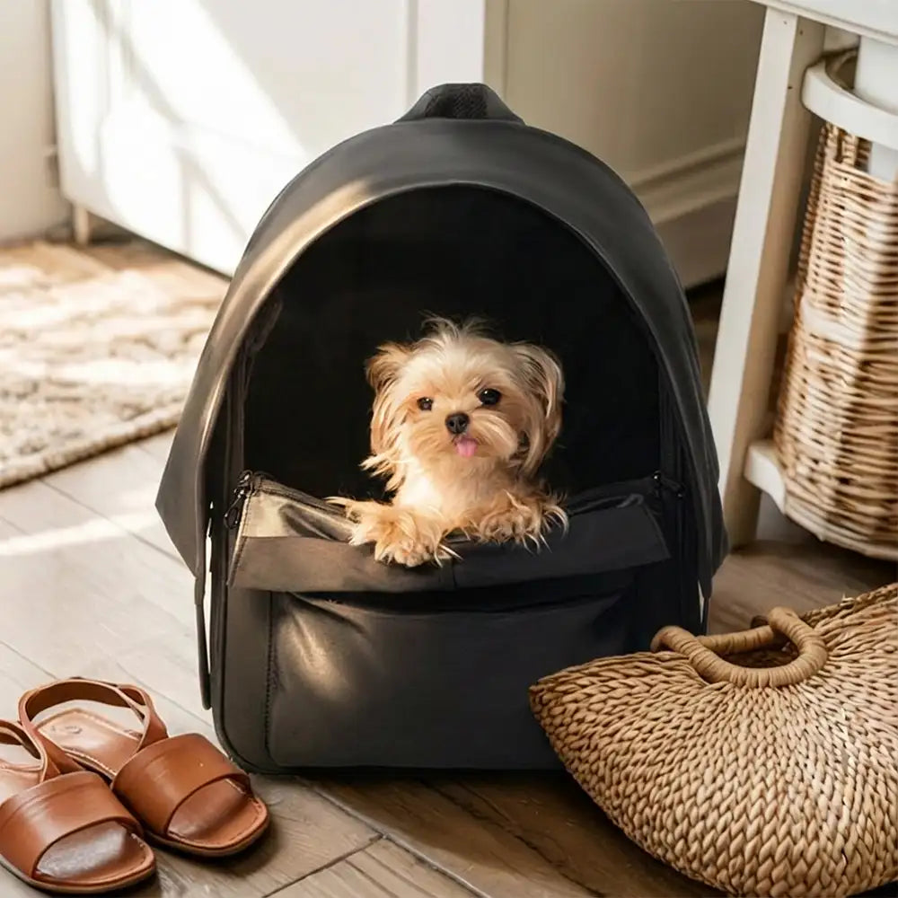 Sac à dos pour chat extensible et respirant pour les voyages en plein air avec auvent.