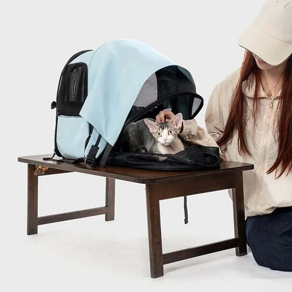 Sac à dos pour chat extensible et respirant pour les voyages en plein air avec auvent.