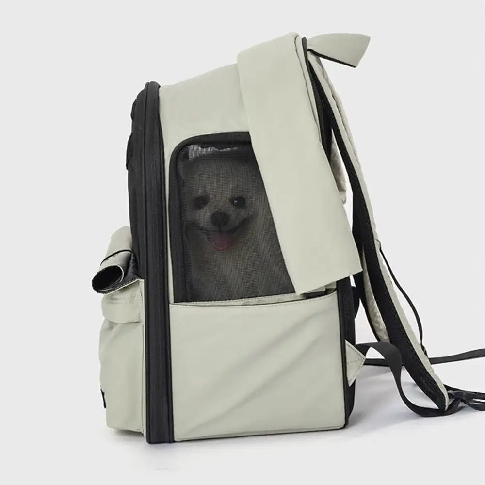 Sac à dos pour chat extensible et respirant pour les voyages en plein air avec auvent.
