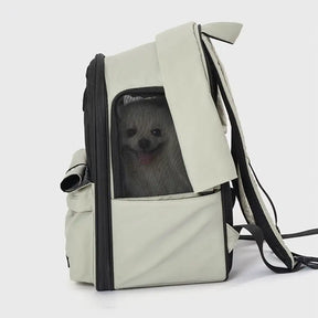 Sac à dos pour chat extensible et respirant pour les voyages en plein air avec auvent.