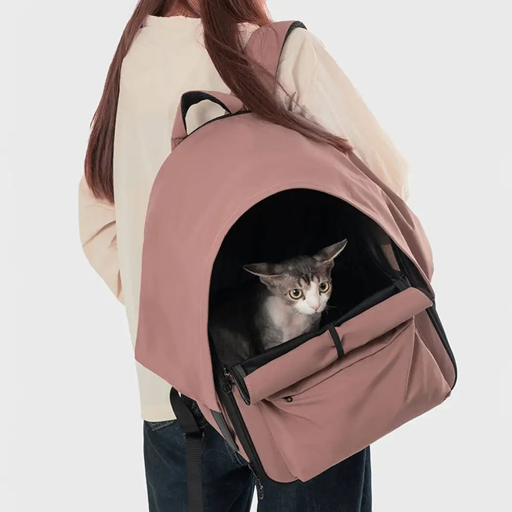 Sac à dos pour chat extensible et respirant pour les voyages en plein air avec auvent.