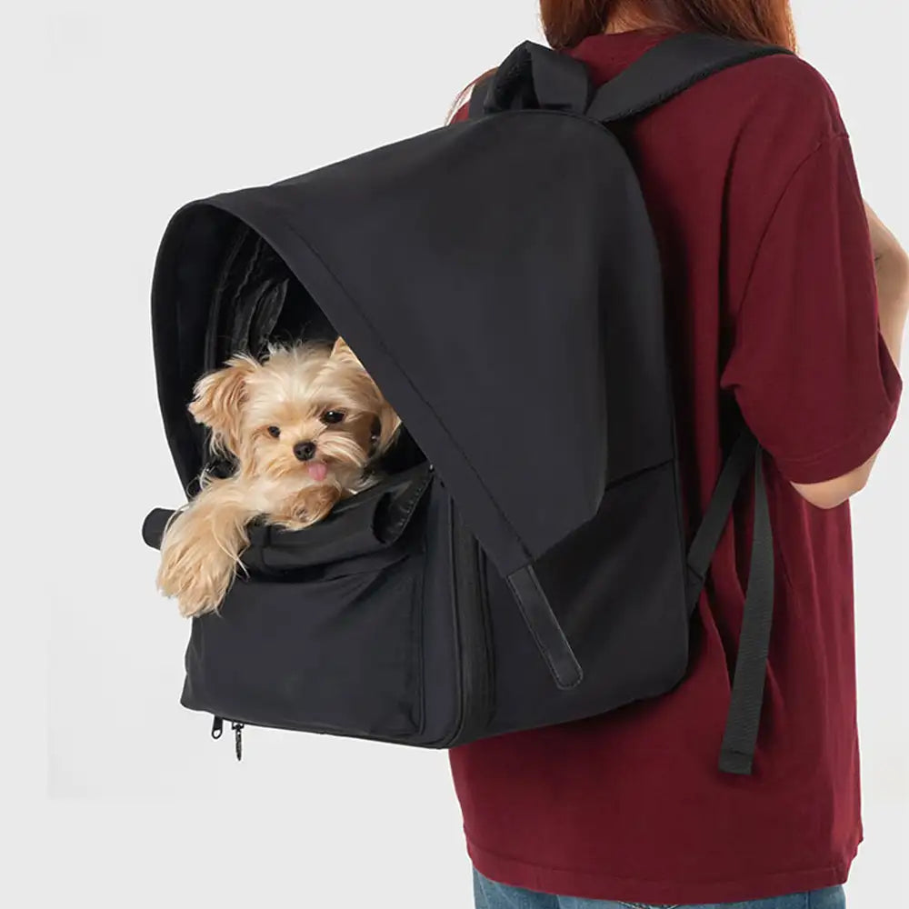 Sac à dos pour chat extensible et respirant pour les voyages en plein air avec auvent.