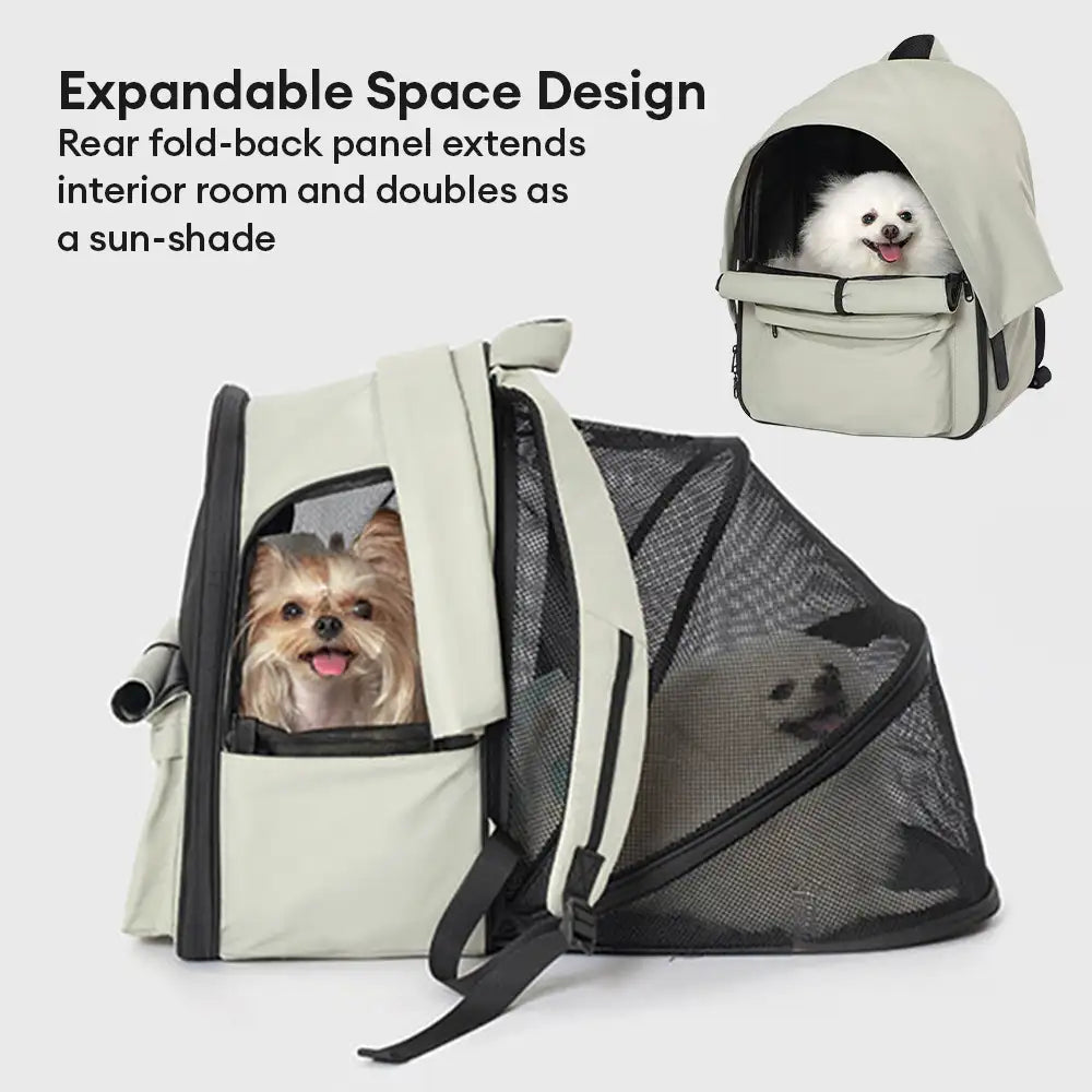 Sac à dos pour chat extensible et respirant pour les voyages en plein air avec auvent.
