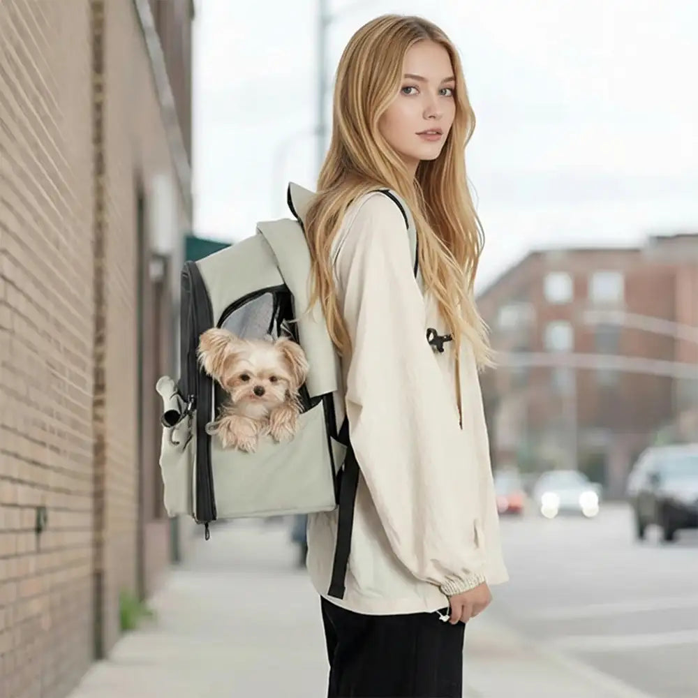 Sac à dos pour chat extensible et respirant pour les voyages en plein air avec auvent.