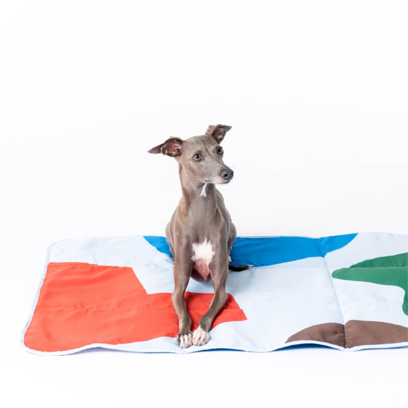 Couverture de Plage et Pique-Nique Imperméable et Pliable pour Voyage