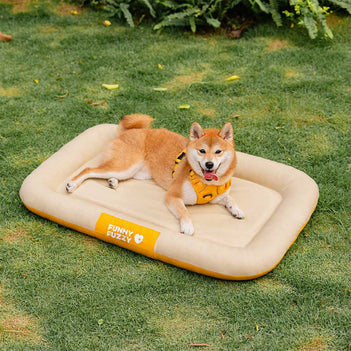 Tapis orthopédique imperméable et résistant aux rayures pour chien motif coloris block - Trek Lounge